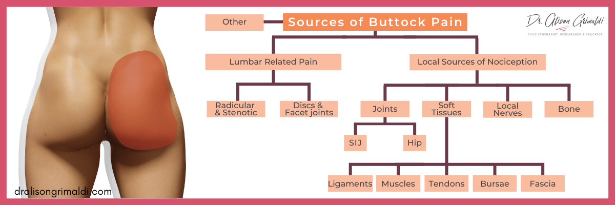Dr-Alison-Grimaldi-Blog-Graphic-Sources-of-Buttock-Pain