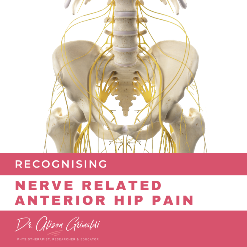 Differential Diagnosis Of Anterior Hip Pain Nerve Dr Alison Grimaldi