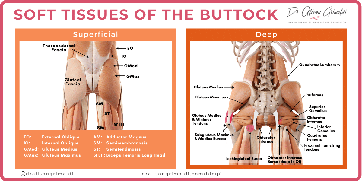 Soft-Tissues-of-the-Buttock_dralisongrimaldi_buttock-pain-blog