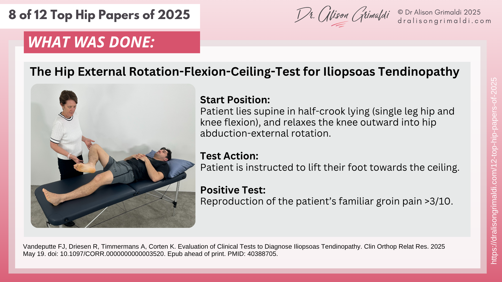 8 of 12 Top Hip Papers of 2025