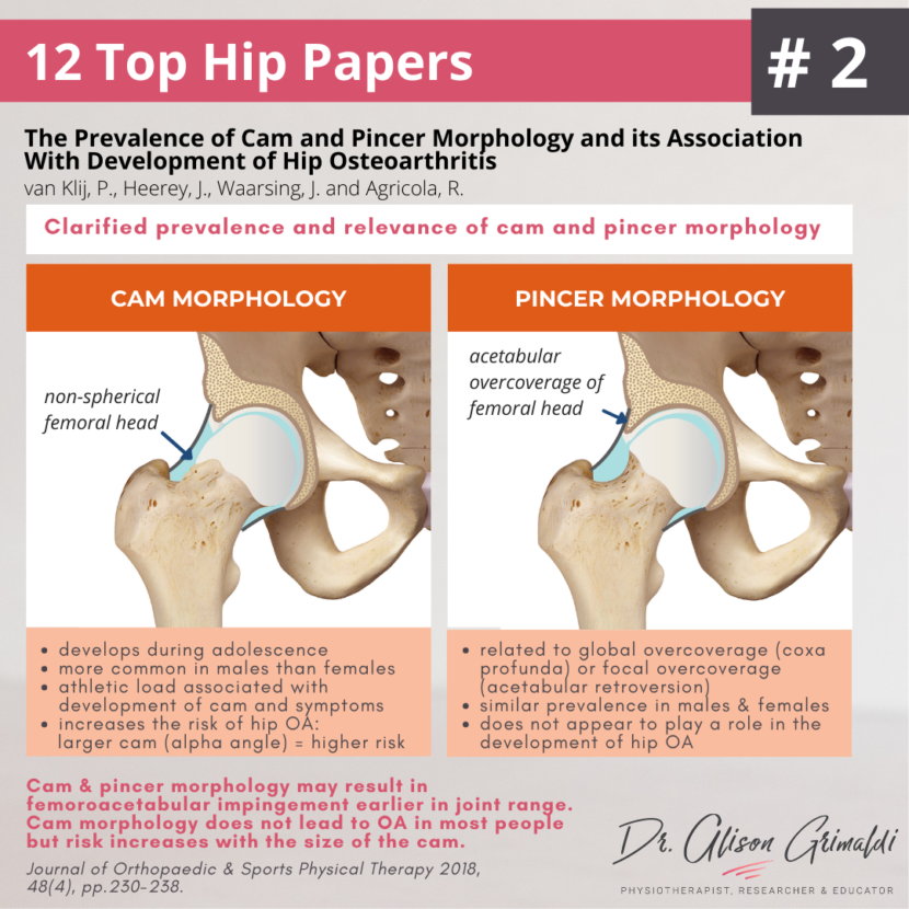 2 of 12 Top Hip Papers Clinical relevance of FAI