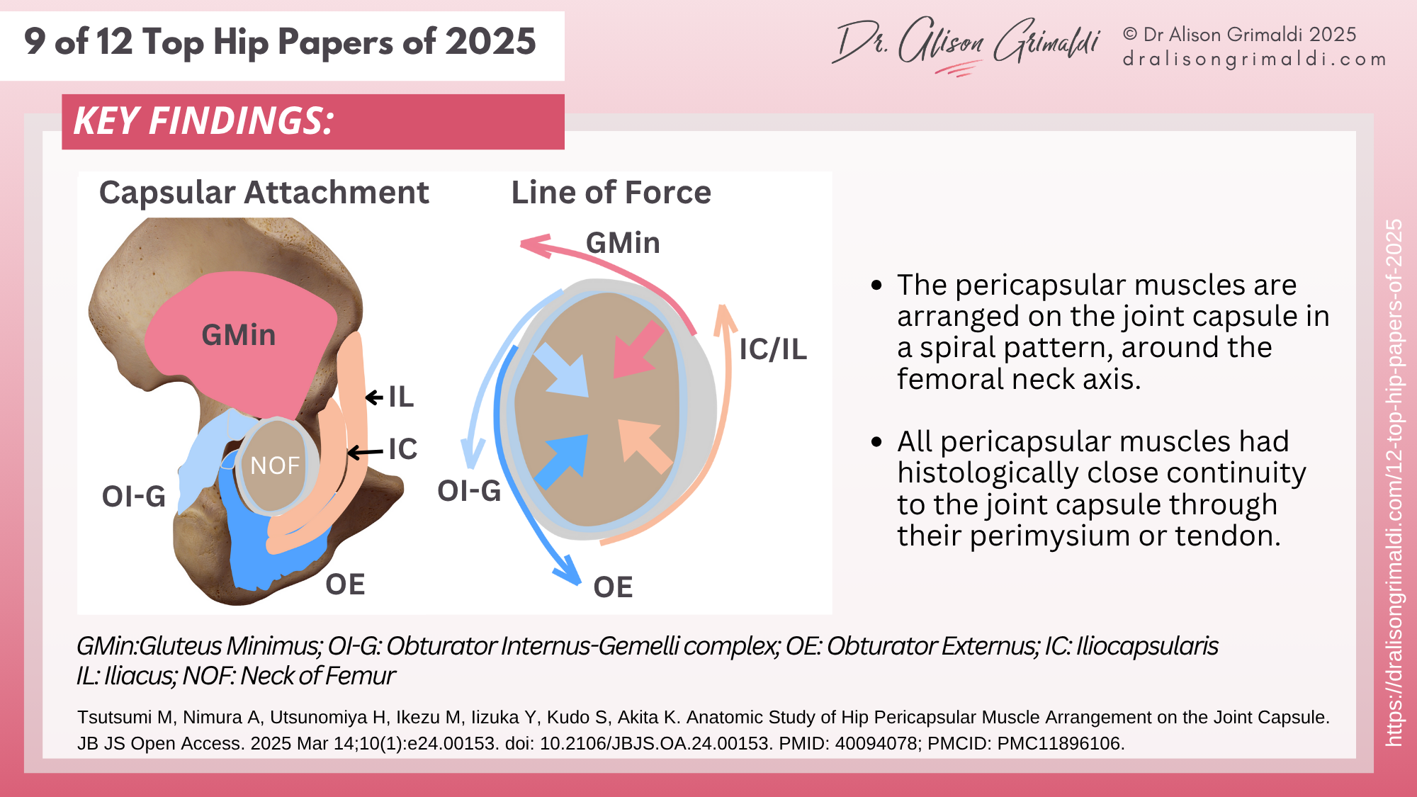 9 of 12 Top Hip Papers of 2025