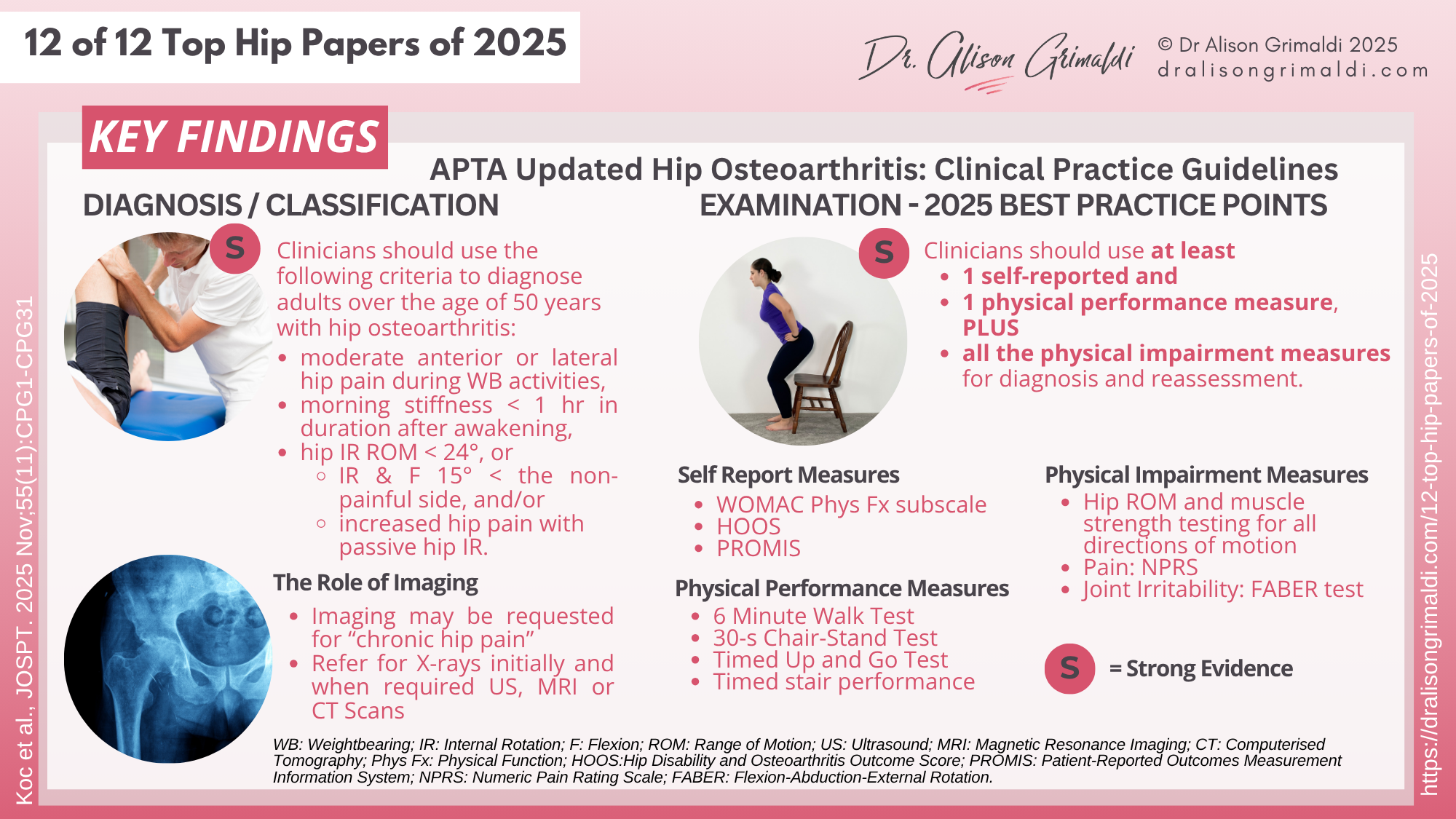 12 of 12 Top Hip Papers of 2025