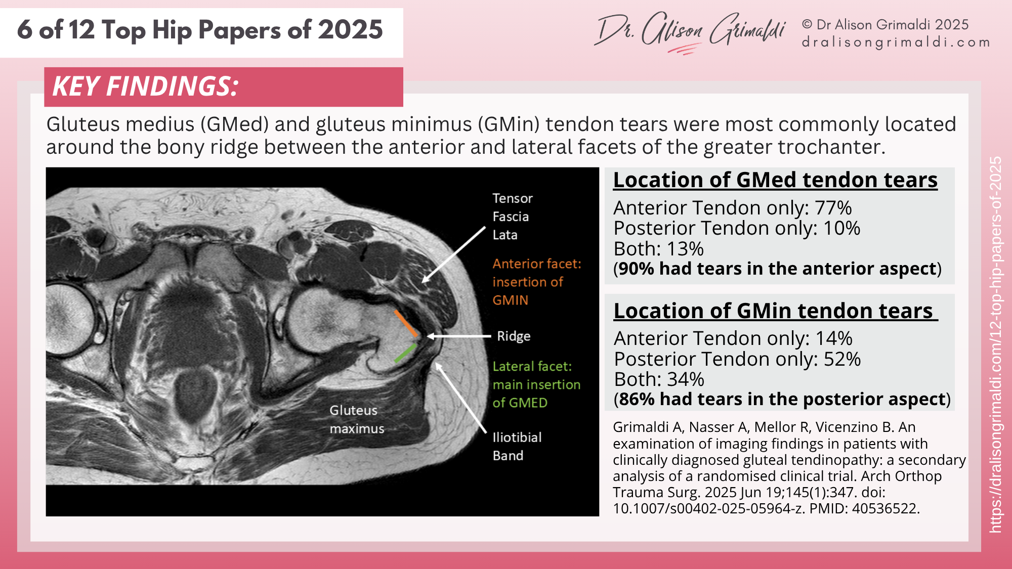 6 of 12 Top Hip Papers of 2025