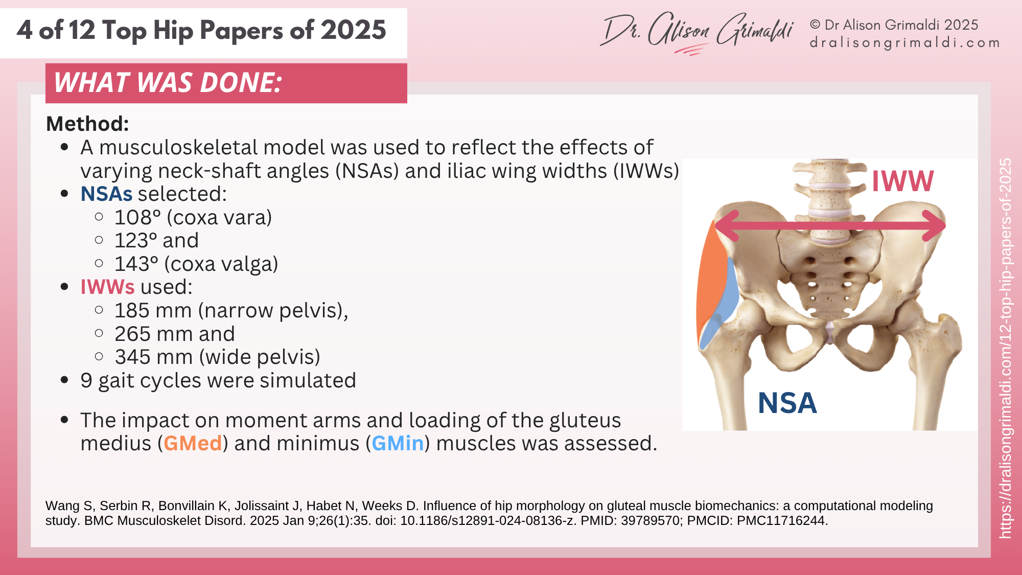 4 of 12 Top Hip Papers of 2025