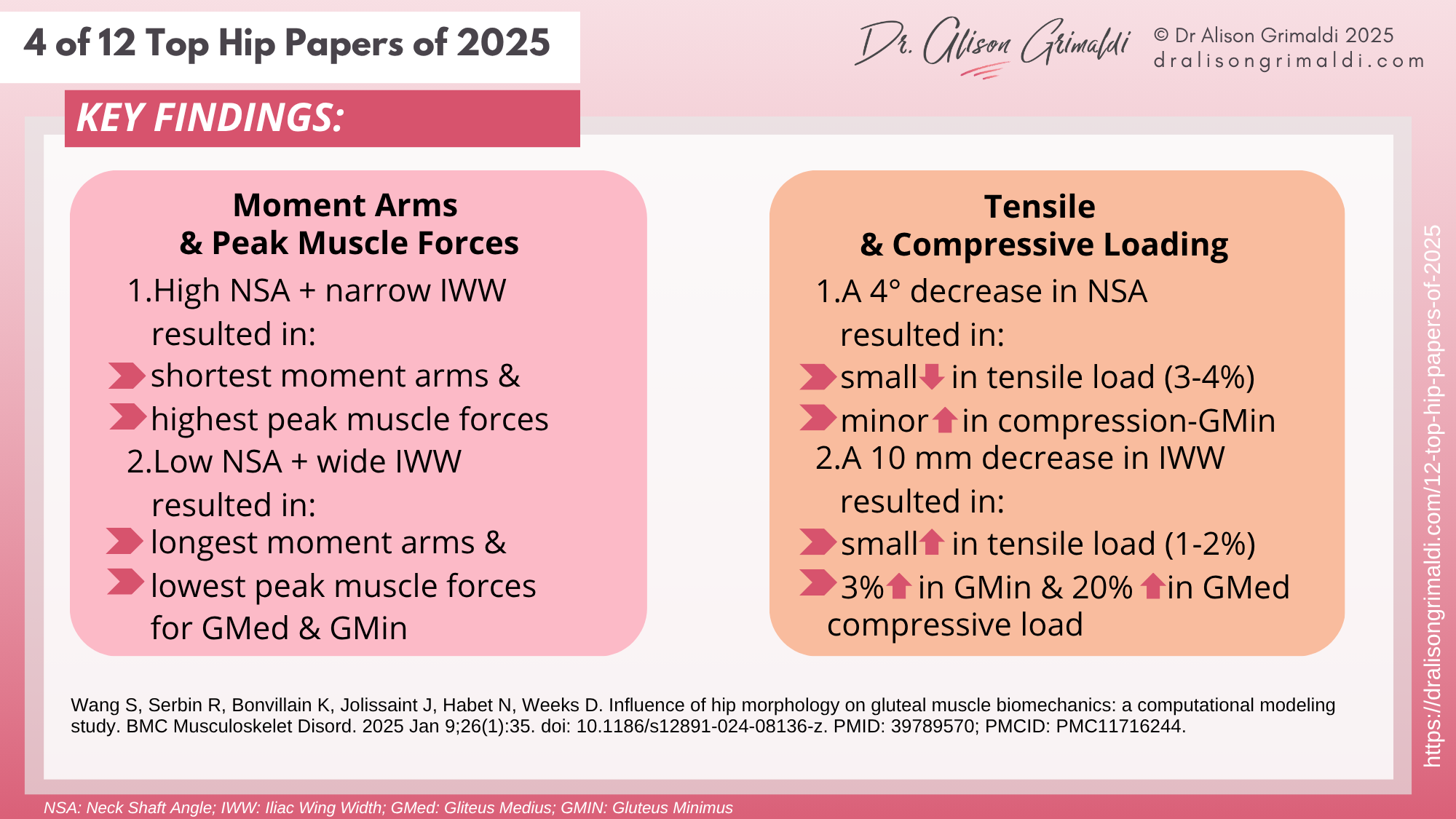 4 of 12 Top Hip Papers of 2025