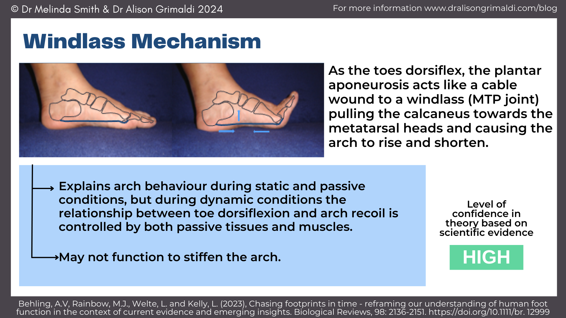 Foot function: an evidence review and proposed new framework | Find out more