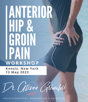 Anterior Hip and Groin Pain Course run by Dr Alison Grimaldi in New York in May 2023
