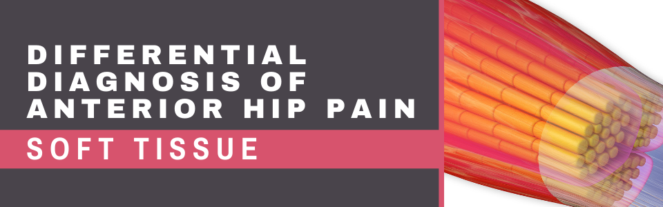 Blog Banner Differential Diagnosis of Anterior Hip Pain - 3. Soft Tissue