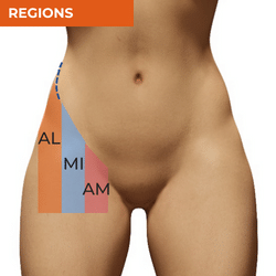 Differential Diagnosis of Hip Pain_Regions of the Anterior Hip