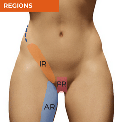Differential Diagnosis of Hip Pain_Regions of the Groin