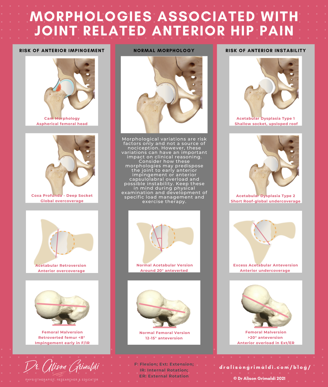Dr Alison Grimaldi Blog Infographic_Morphology and joint related anterior hip pain