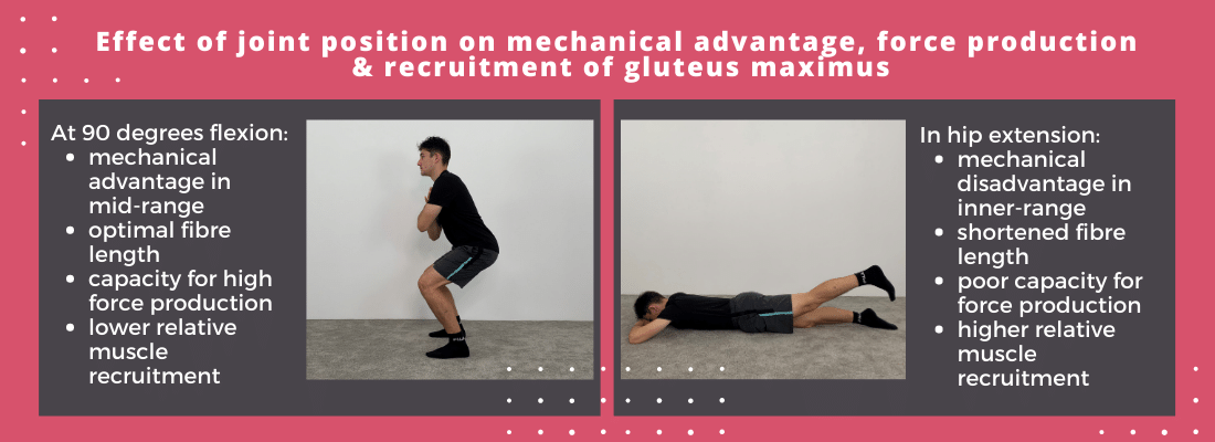 Effects of joint position on gluteal activity_infographic