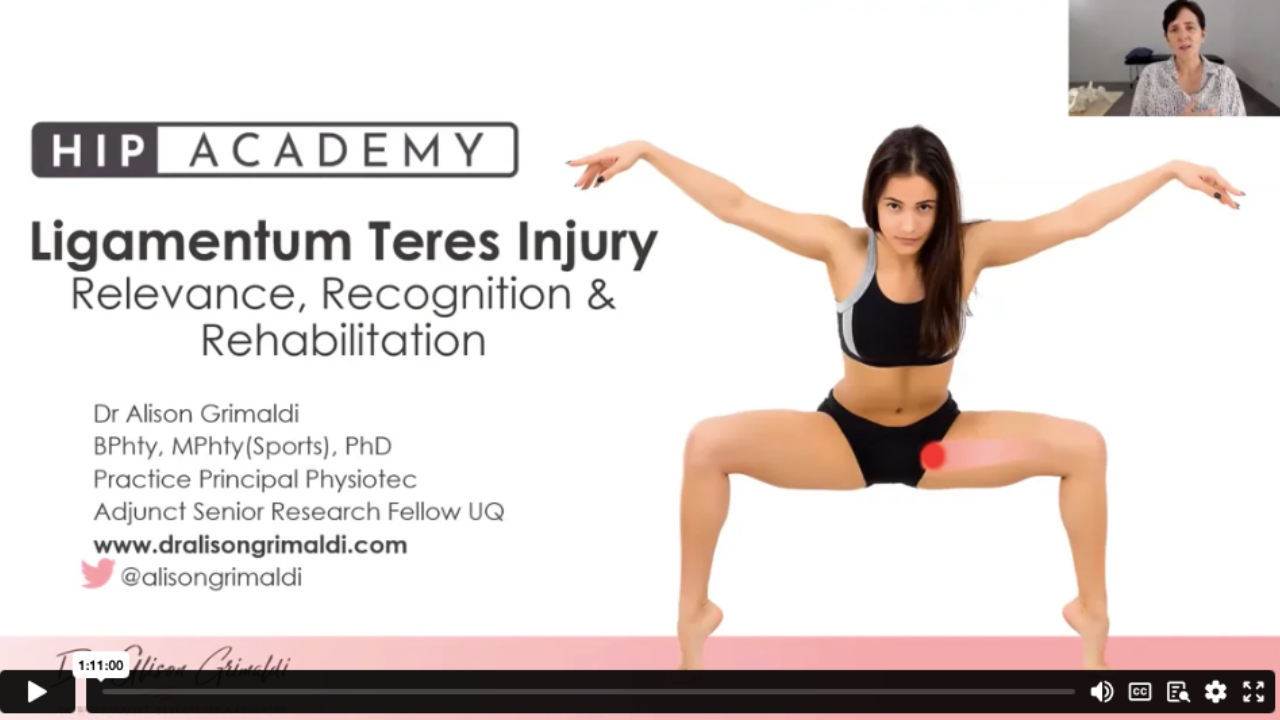 Feb 2023 - 1 Hip Academy Meeting 11: Feb 2023 - Ligamentum Teres Injury (Session 1)