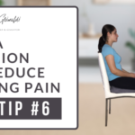 Hip Tips for Christmas #6 Try a cushion to reduce sitting pain
