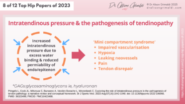 New Concepts In The Pathogenesis Of Tendinopathy | 8 Of 12 Top Hip ...