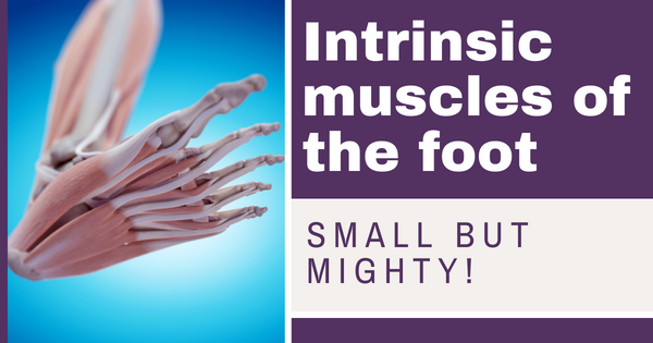 Intrinsic-muscles-of-the-foot