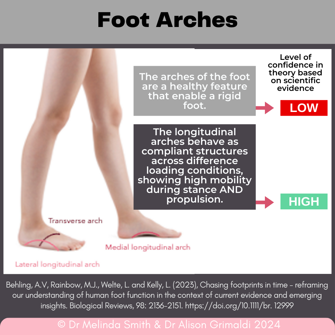 Foot function: an evidence review and proposed new framework | Find out more