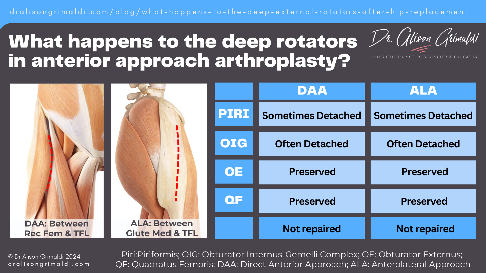 what-happens-to-the-deep-rotators-in-anterior-approach-arthroplasty