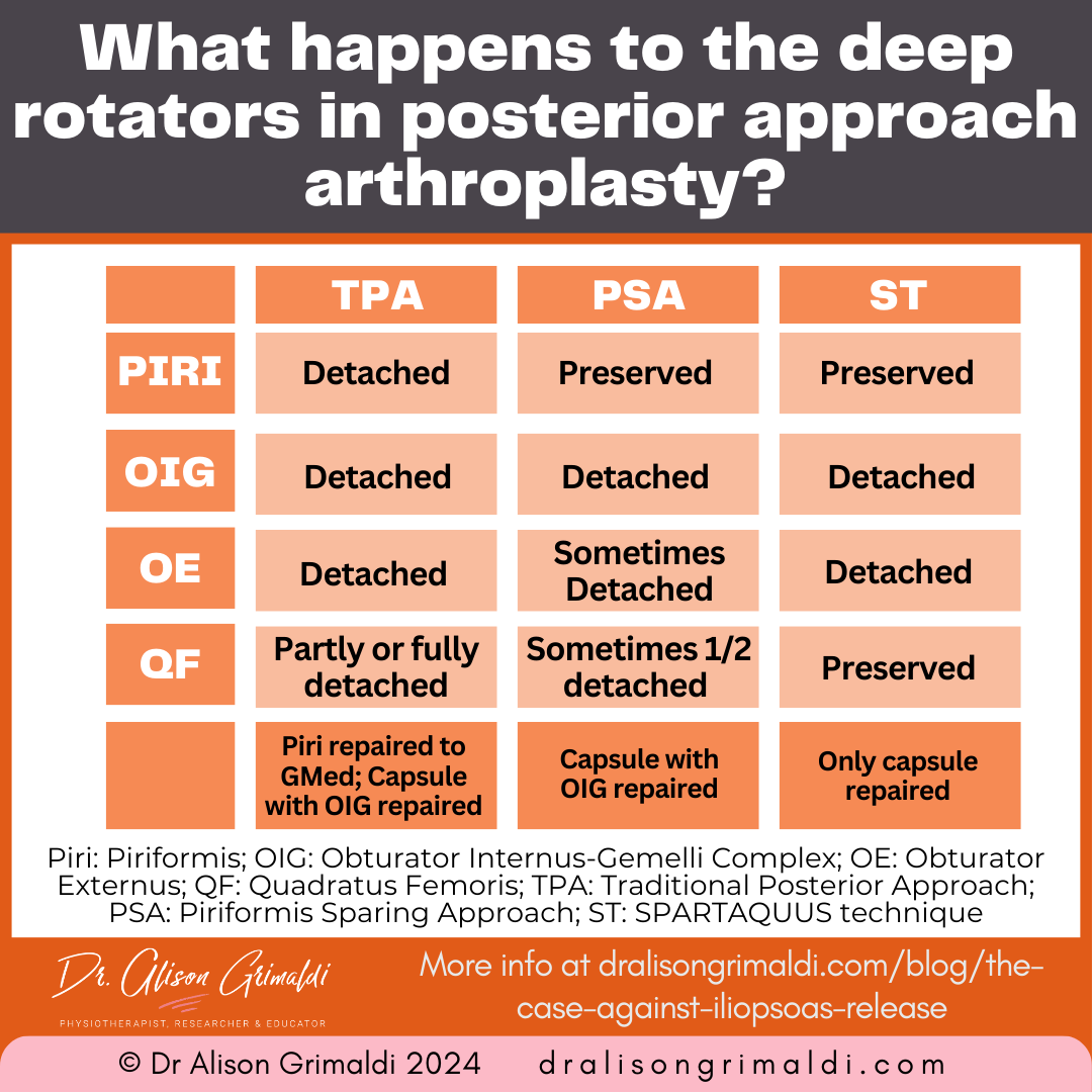 what-happens-to-the-deep-rotators-in-posterior-approach-arthroplasty