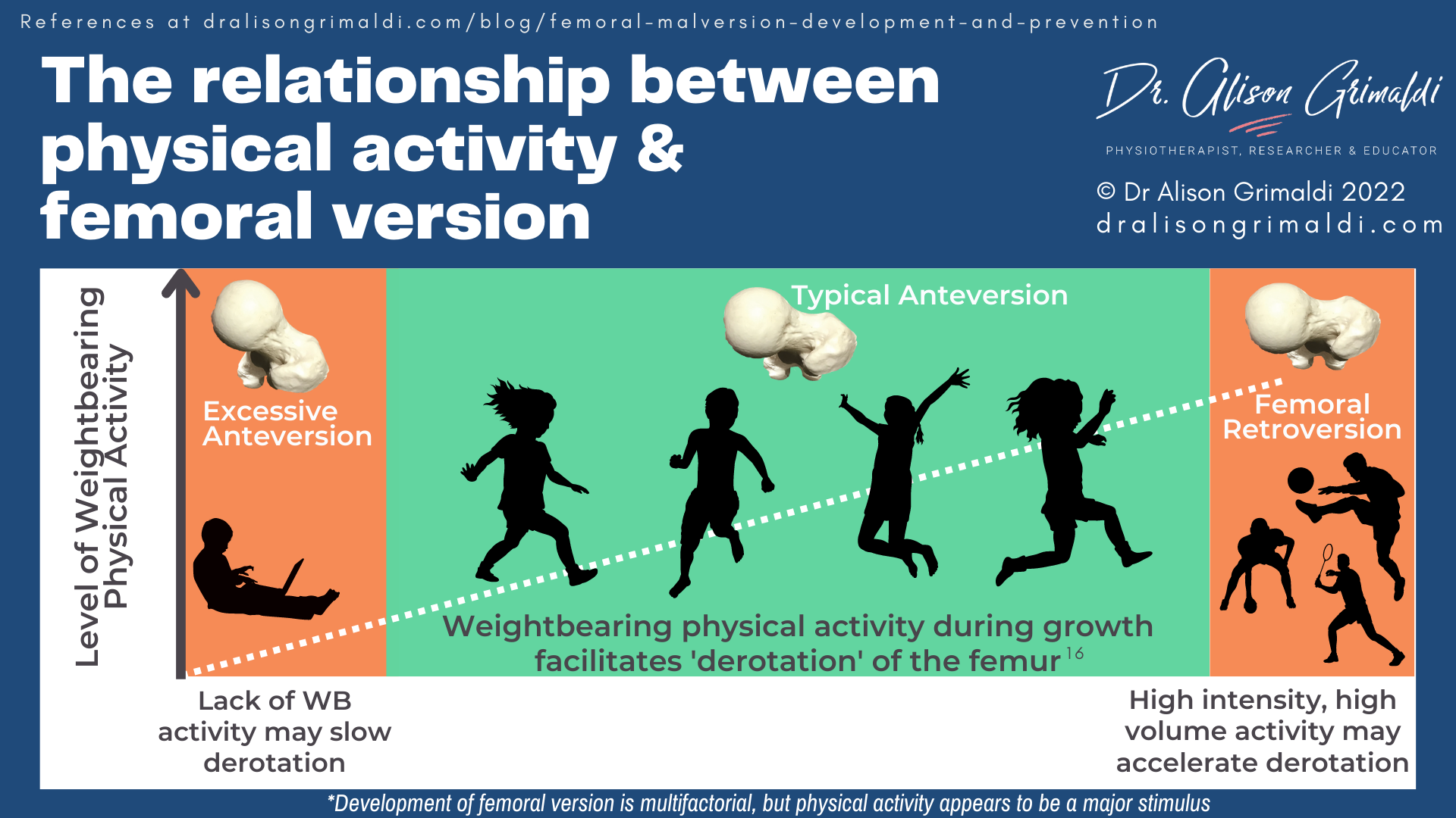 The relationship between physical activity & femoral version