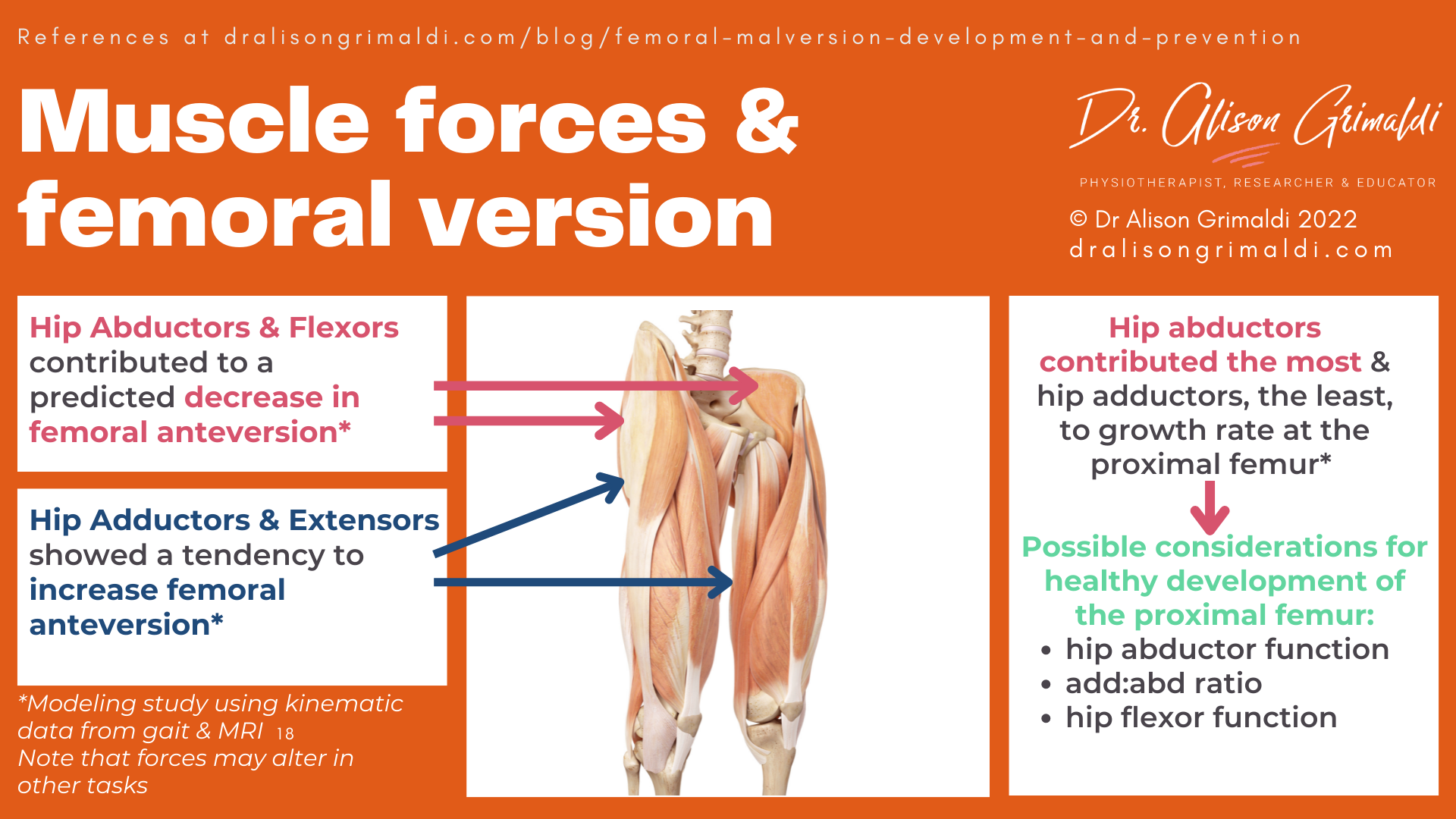 Muscle forces & femoral version