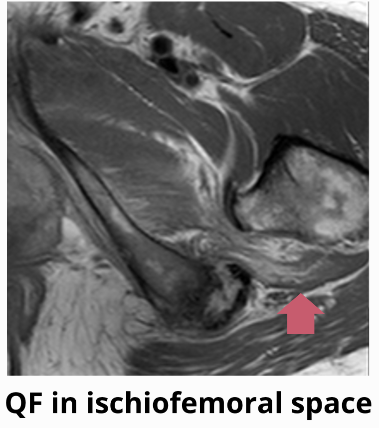 Screenshot 2025-10-31 at 8.40.57 am