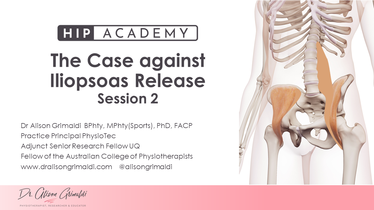 The case against iliopsoas release - Session 2 Hip Academy Meeting Feb 2024 The case against iliopsoas release - Session 2 Hip Academy Meeting Feb 2024 thumbnail