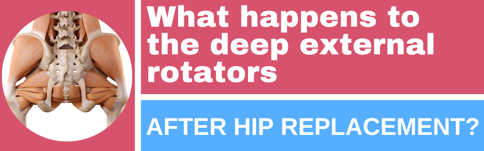 what-happens-to-the-deep-external-rotators-after-hip-replacement