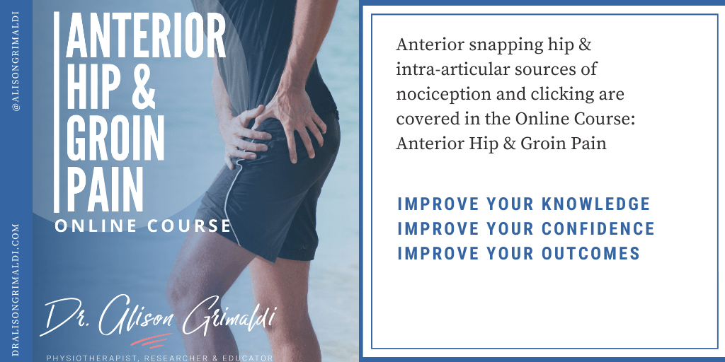 Things that go click in the hip - what is covered in Dr Alison Grimaldi's Anterior Hip and Groin Pain Course