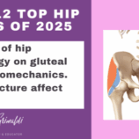 4-of-12-top-hip-papers-of-2025-influence-of-hip-morphology-on-gluteal-muscle-biomechanics-does-structure-affect-function