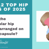 9-of-12-top-hip-papers-of-2025-how-are-the-pericapsular-hip-muscles-arranged-on-the-joint-capsule