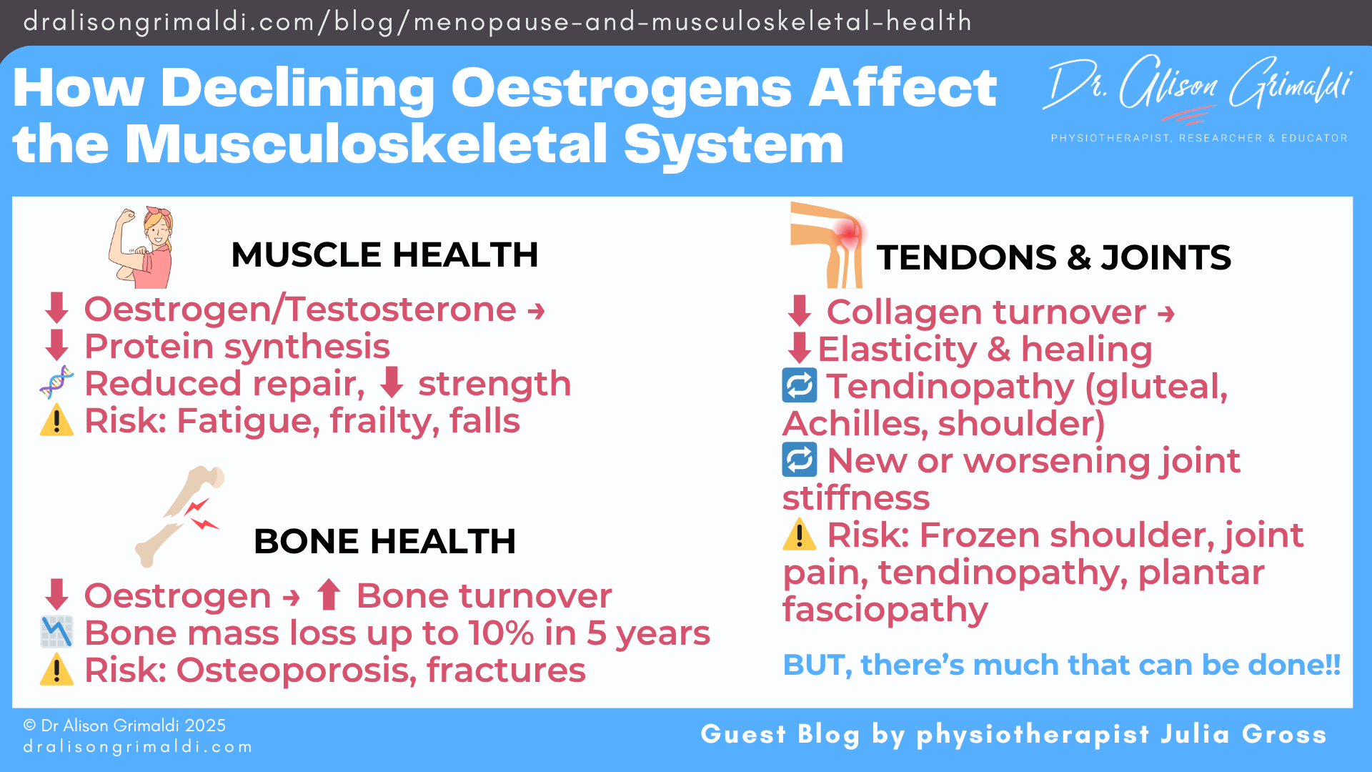 how-declining-oestrogens-affect-the-musculoskeletal-system