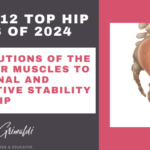 12-of-12-top-hip-papers-of-2024-contributions-of-the-abductor-muscles-to-rotational-and-distractive-stability-of-the-hip